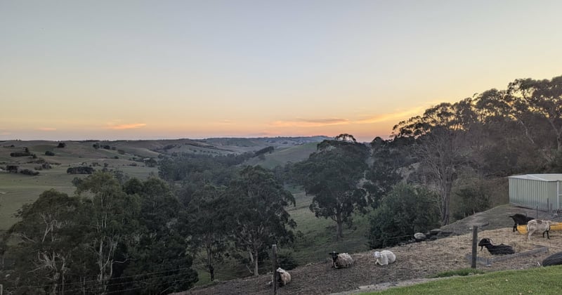 🦎 What to do this long weekend?