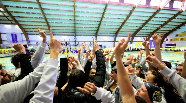 Bayou Brew 1/9: Dive In