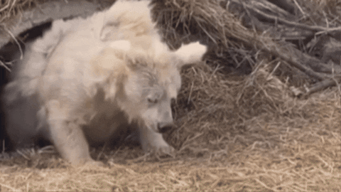 When Your Energy Has Nowhere to Go ✋🏾