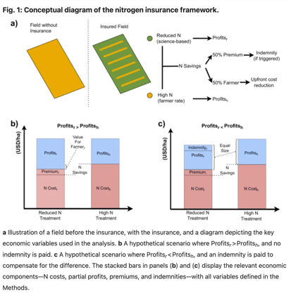 The Theory vs. Reality of Nitrogen Insurance