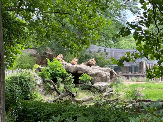 From Hamburg to Silicon Valley: Why Europe Needs a Bold Vision