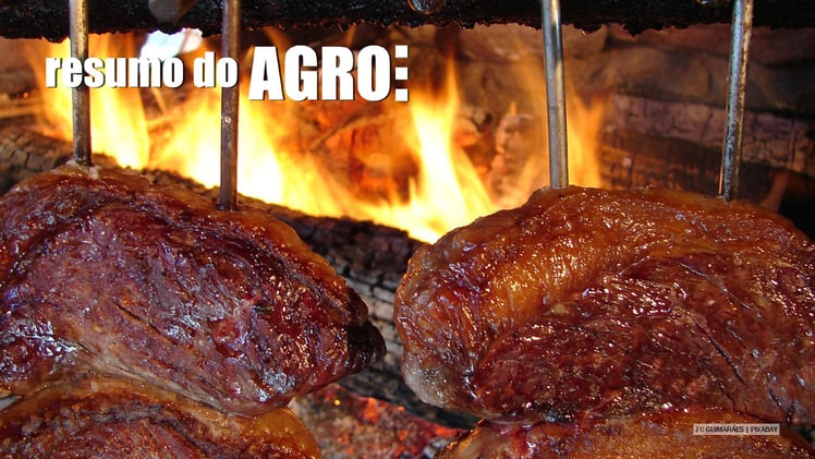 Dia do churrasco traz boas notícias para exportadores