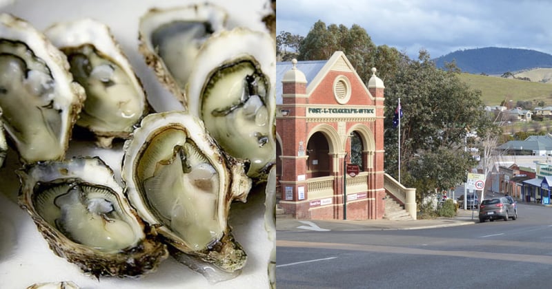 Newsletter: The shocking state of Gippsland’s roads
