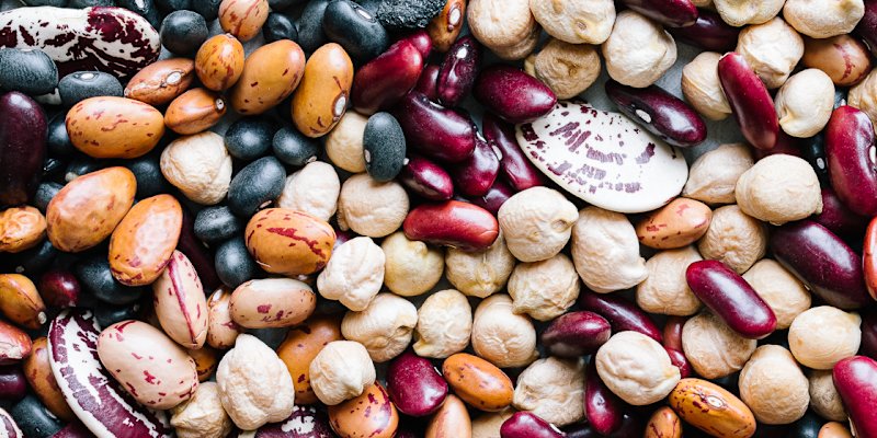 Beans: Tiny Powerhouses for a Healthier You