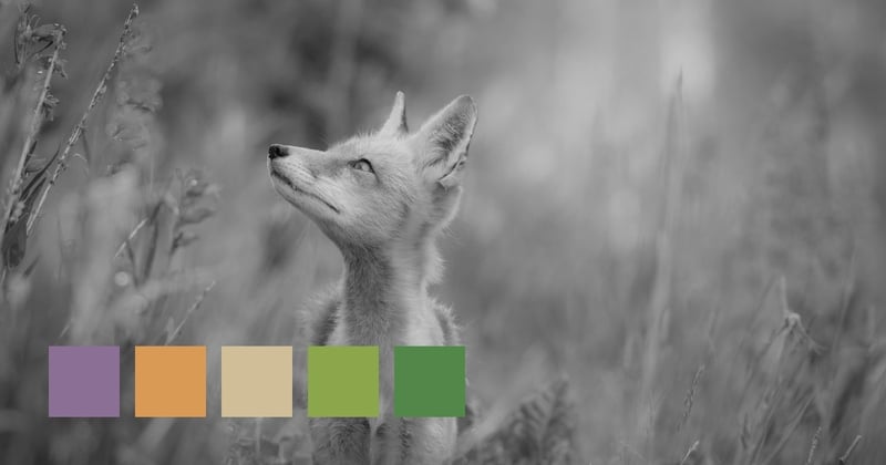 Many A Mile To Go That Night...