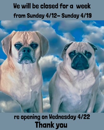 spring break closure, spring merch & more