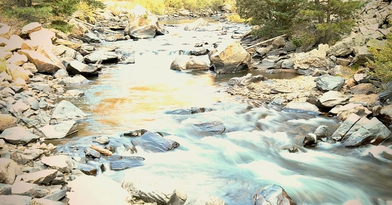 Searching for Gold