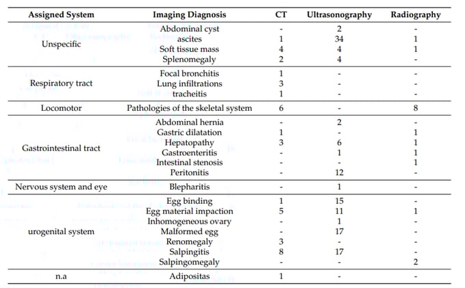 Reasons for chicken vet visit