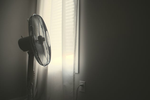 Feeling The Heat? Read This Summer Survival Guide 📖