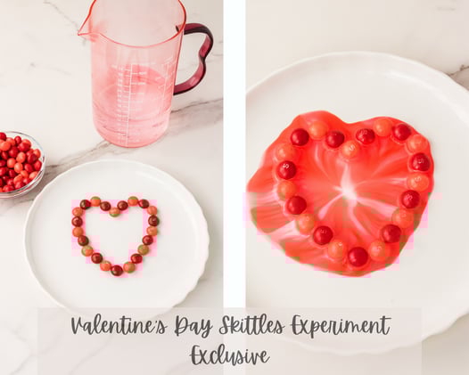 Valentine's Day Skittles Experiment w/ Overhead Video! {Exclusive}