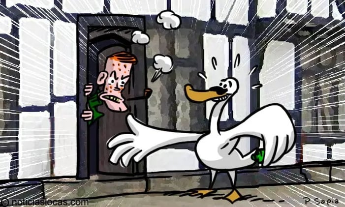 Cisne aterroriza vecindario