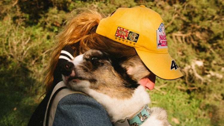 🐕 New survey reveals dogs top the best friend list