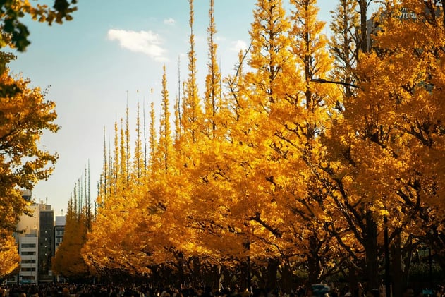 Ancient Survivors, Modern Medicine, and Gladiator Myths Uncovered