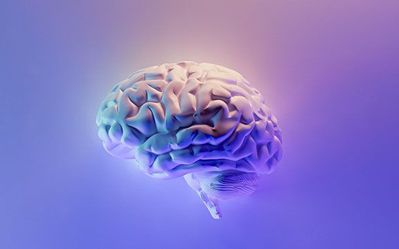 The Technique to Double Your Study Speed