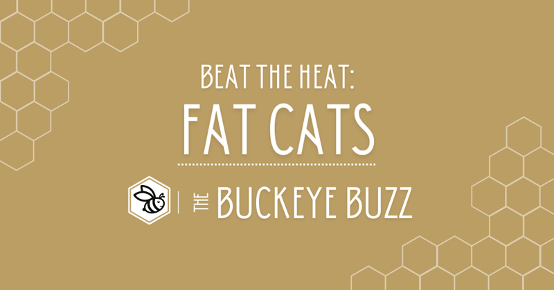 BEAT THE HEAT: FAT CATS 