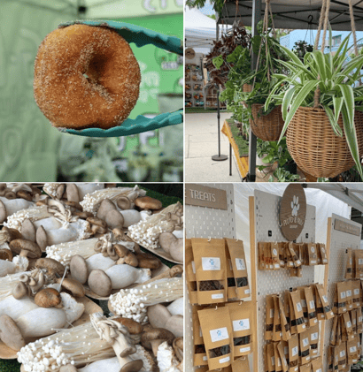 🔵 Crazy day markets are back!
