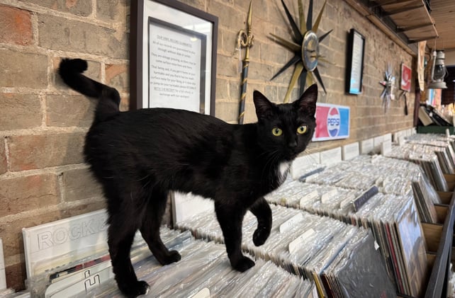 Good Morning, Haldimand County!