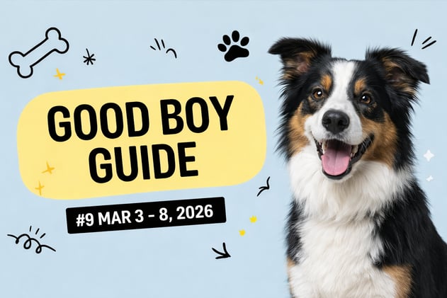 Good Boy Guide #9