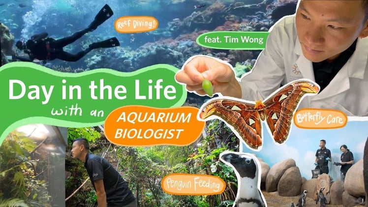 ✨🌈🪐 Videos & News Today • November 20, 2025