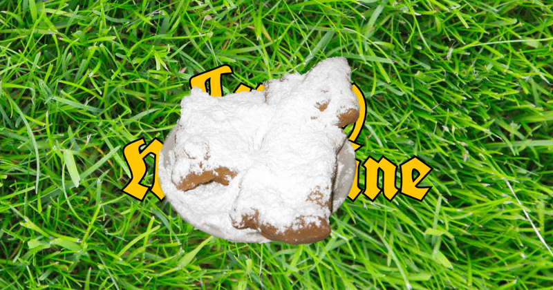Salt & Powdered Sugar