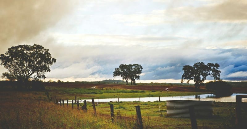 It’s been raining consistently, so why are dam levels in West Vic still low?
