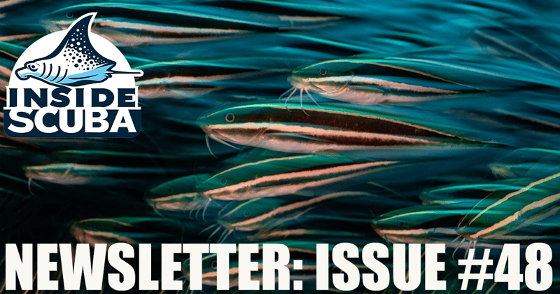 Inside Scuba Issue #48