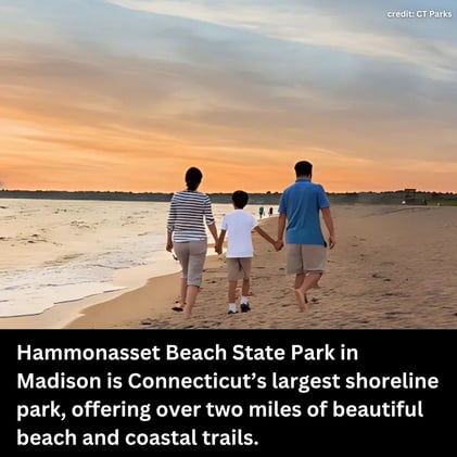 🎆 Where to Watch Fireworks + Family Fun Ideas + CT Pharmacy Closures