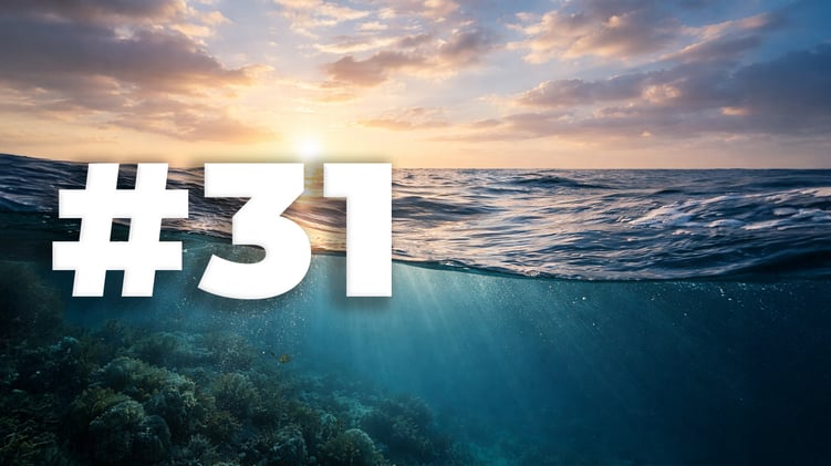 Greenster Newsletter #31