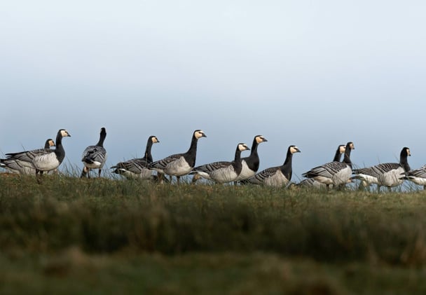 Sunday 30th November