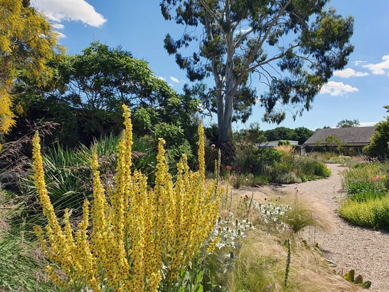 The Secret to Effortless Midwest Gardens