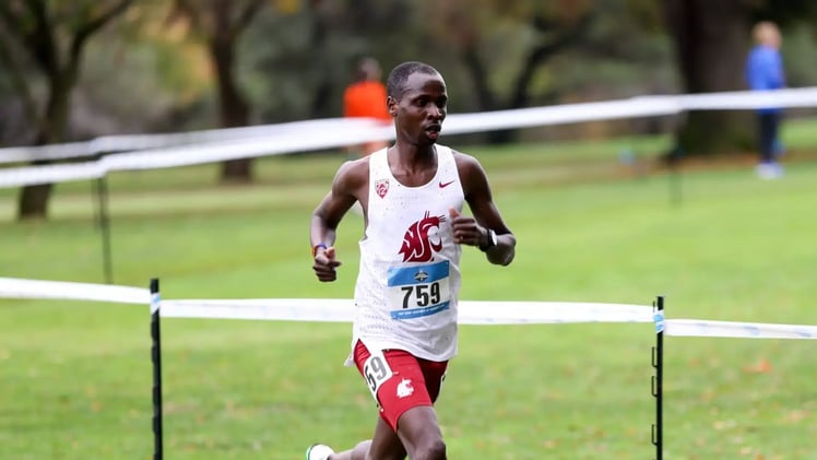 Wazzu Brew 11/24: Country's Finest