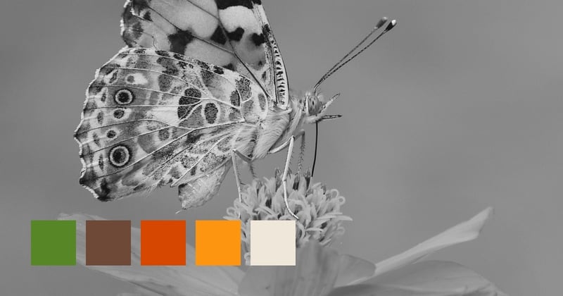 Seta, Setagaya, Japan