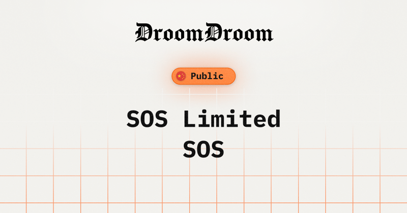 Overview of SOS Limited and Its Blockchain Strategy