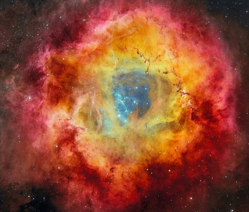 A narrow view of the Rosette Nebula