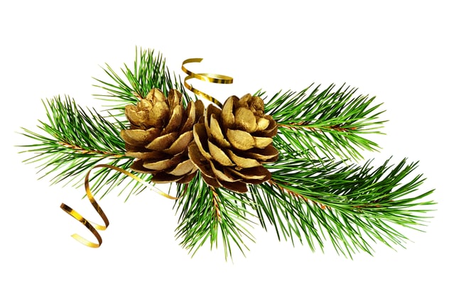 The Peddler’s Gift