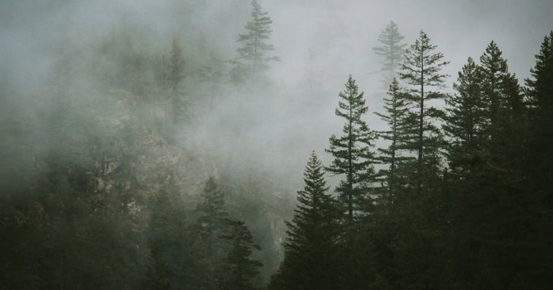 Can Hope sell its fog to tourists?