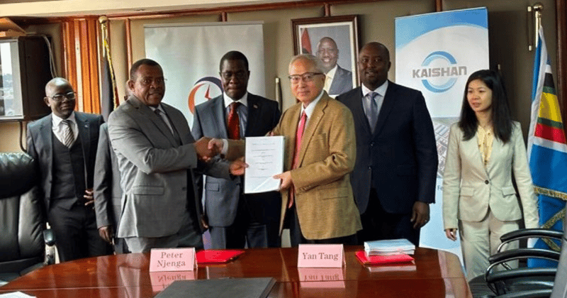 Kenya seals $800m deal for green ammonia