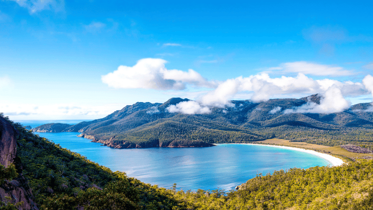 Tassie Tourism Increasing, Harry Potter Marathon