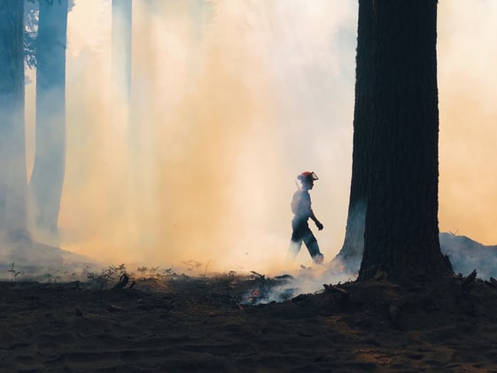 Does BC need a plan to handle smoke season?
