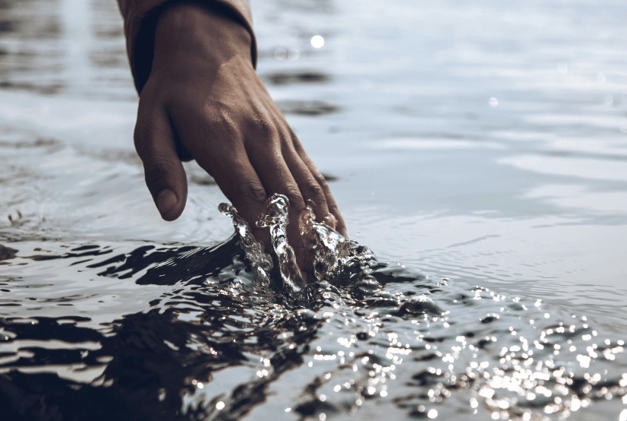 Sensory Systems - Somatosensory System