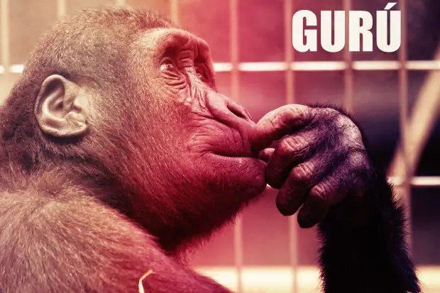 Se busca gurú. Inútil presentarse sin experiencia.