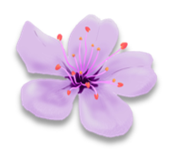 First Draft Complete!