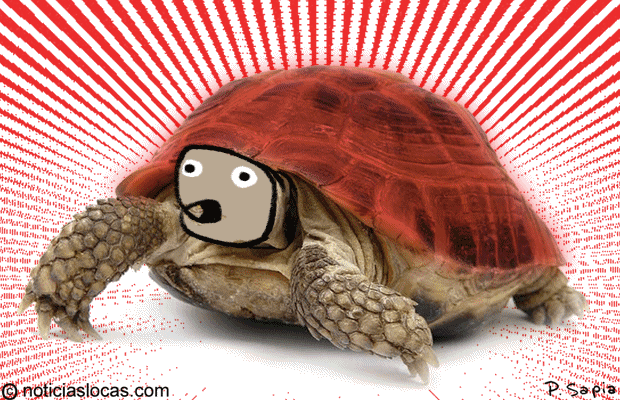 Prohíben pintar tortugas
