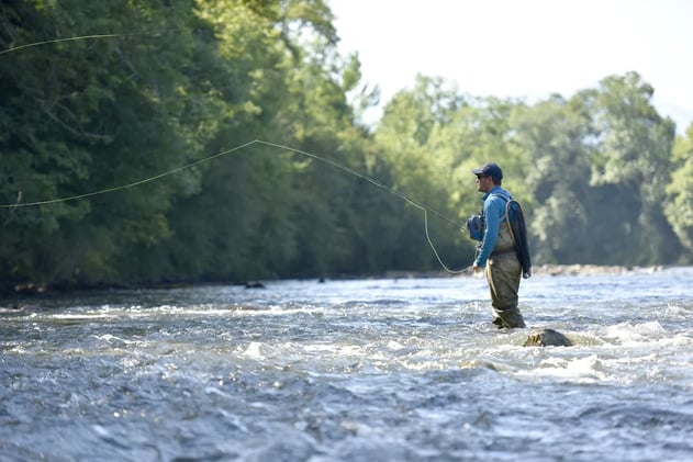 New State Record Set For Largest Alabama Bass Caught in Tennessee