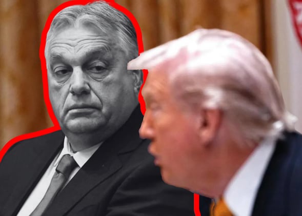 Trump And Orbán - What You Need To Know