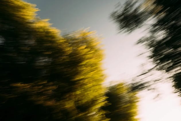 Meaning before motion.