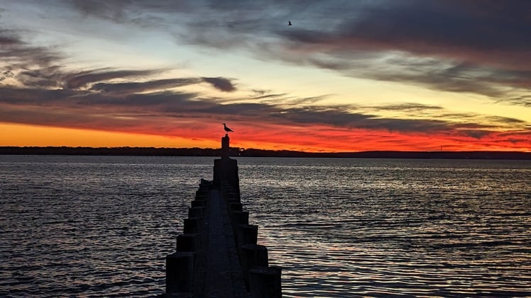 This Morning's Bulletin — 12.3.25