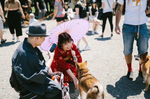 🍦 Dystopia, Dog Parades, Punk Shows and How One Montrealer Got Started 