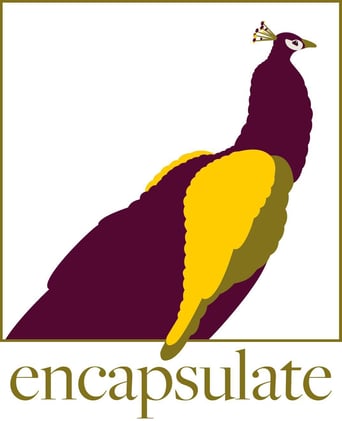 You won't want to miss this mind blowing Wedding Audit Workbook