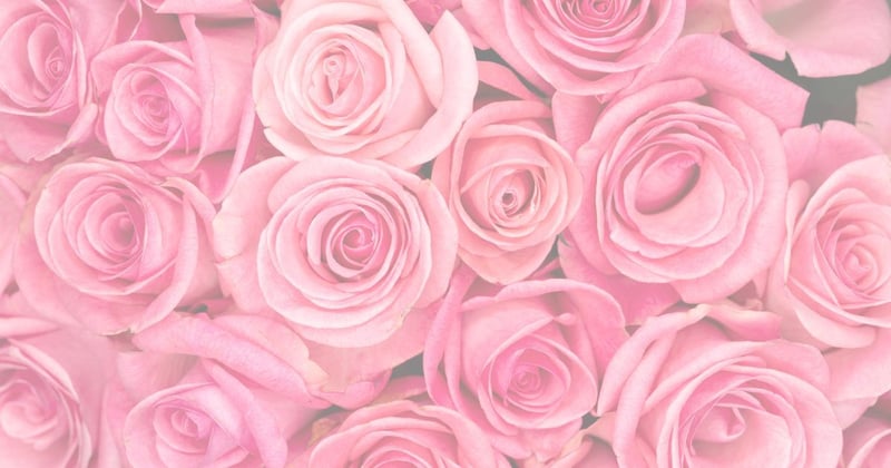 🌸 What if receiving gets to feel soft?